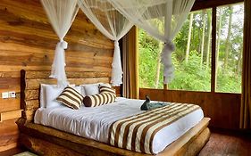 Rustic Cottage